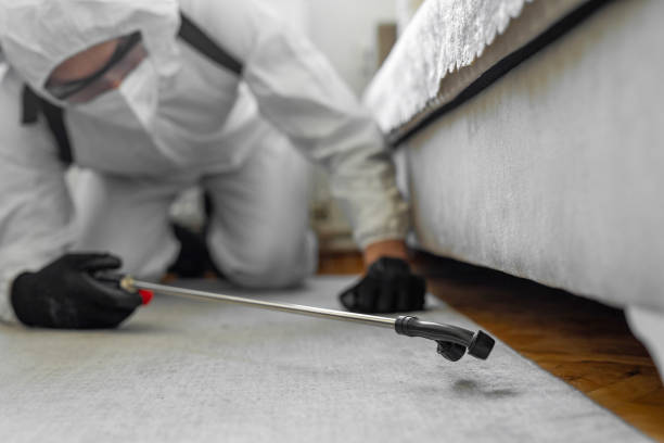 Professional Bed Bug Control technician working in Belvidere, NJ