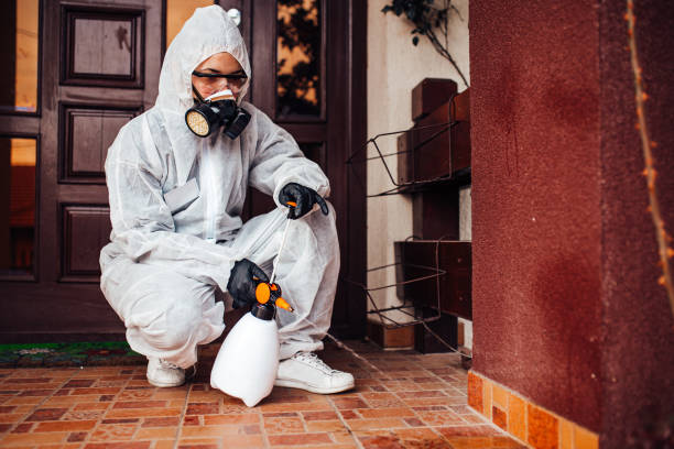 Reliable Bed Bug Control contractor in Belvidere, NJ by Nex Pest Control