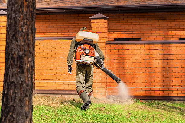 Trusted Ant Control service in Belvidere, NJ - Nex Pest Control